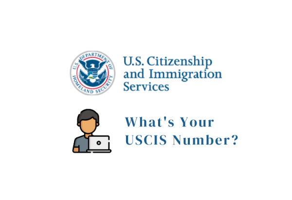 what-is-your-uscis-online-account-number-create-and-find