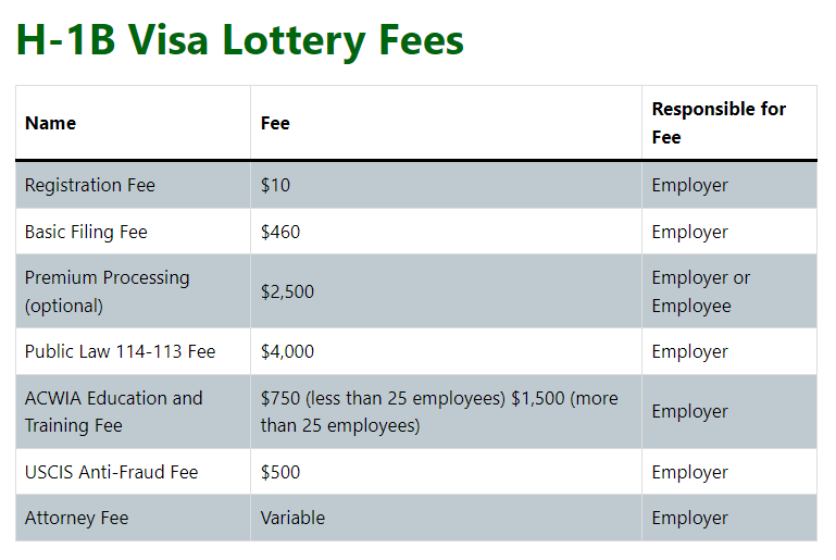 H1B Visa Lottery 2025 Quota, Application, and Result